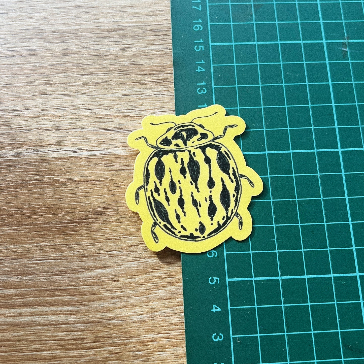 Ladybug Sticker