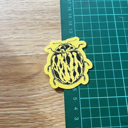 Ladybug Sticker